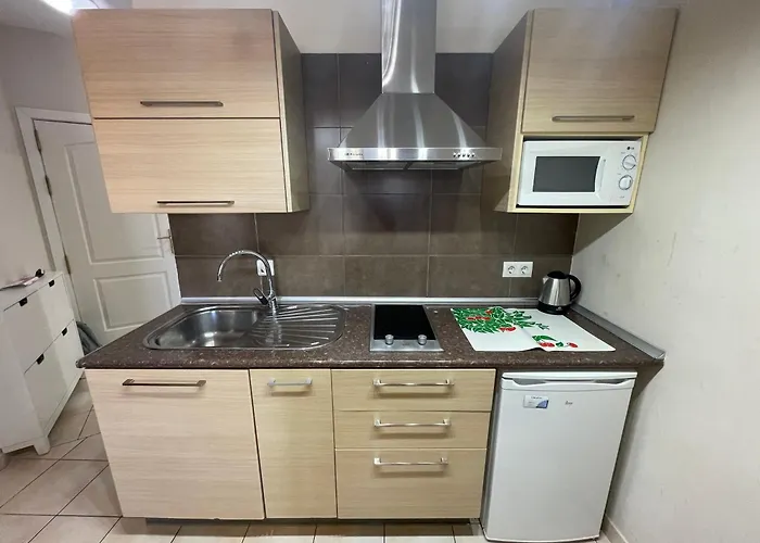 Apartment mit 1 Schlafzimmer